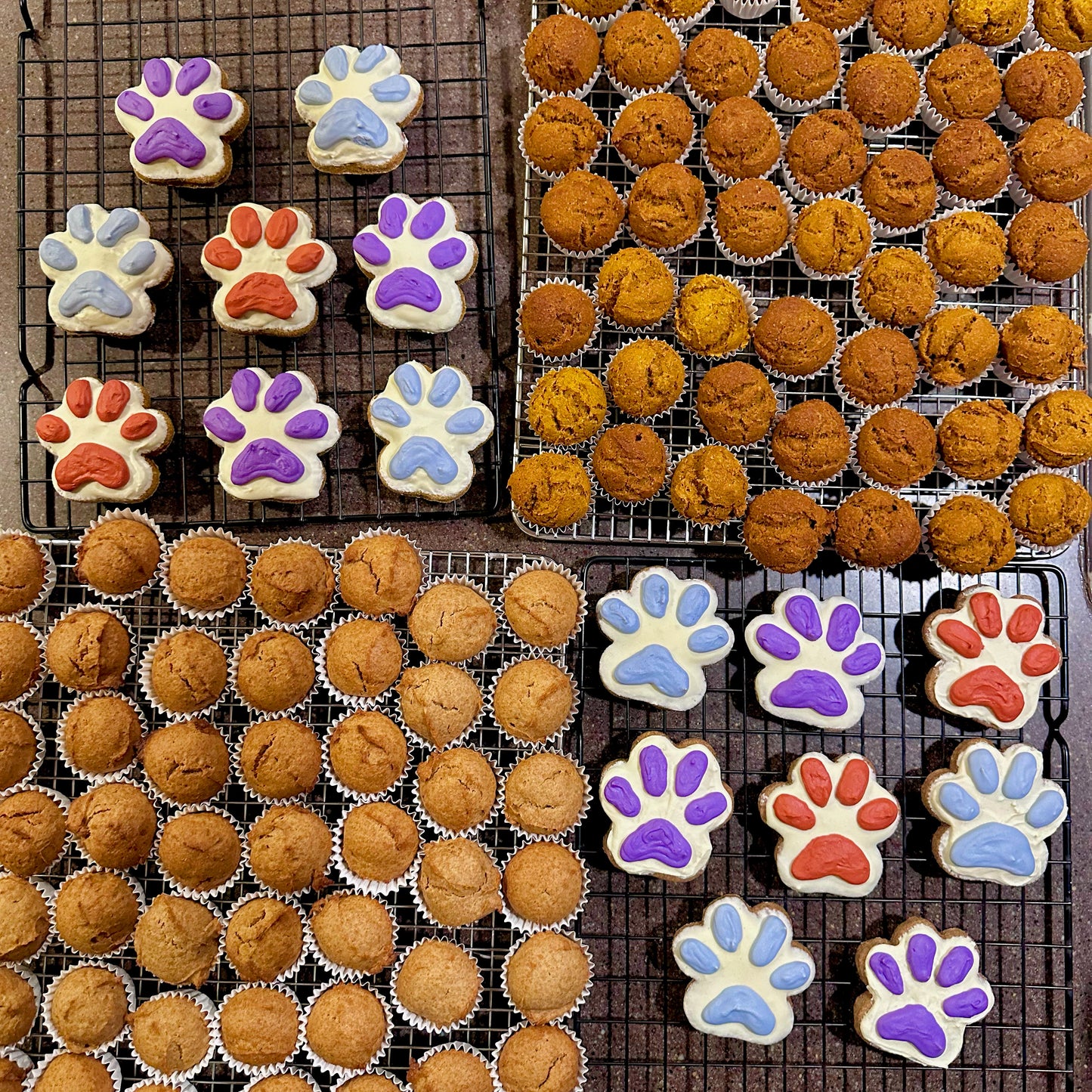 Pupcake Packs