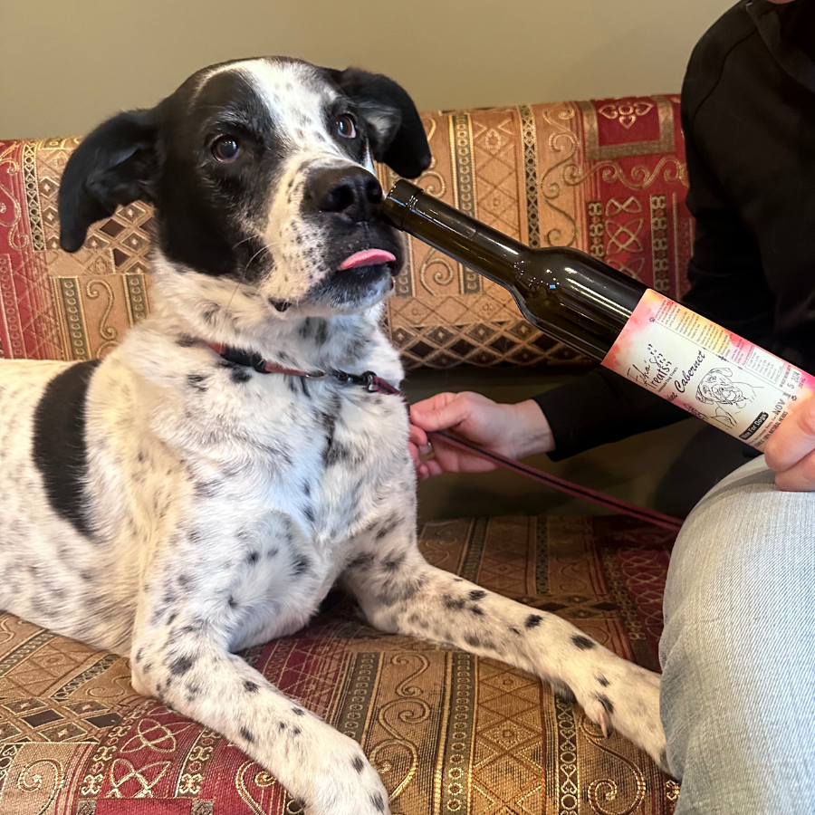 Luxury Dog Lover Gift Box
