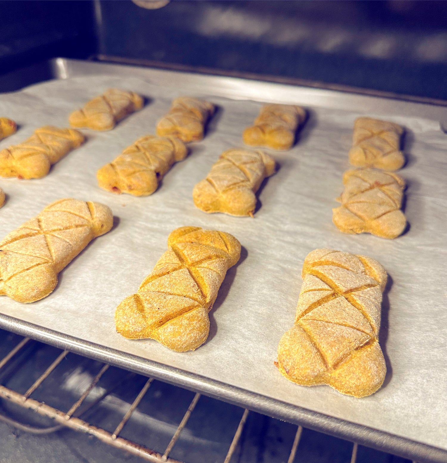 Echo's Treats Exclusives