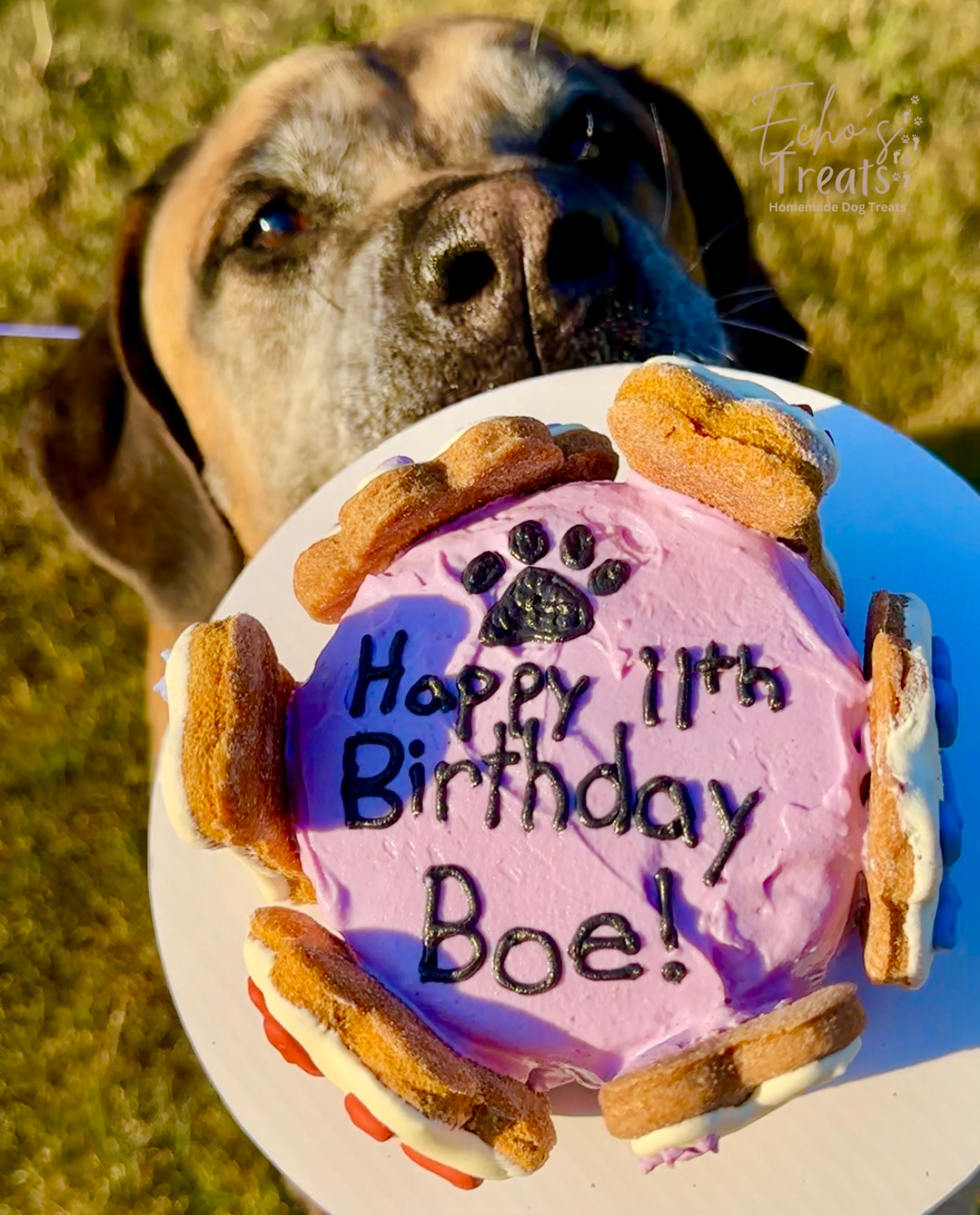 Echo's Customized Treats