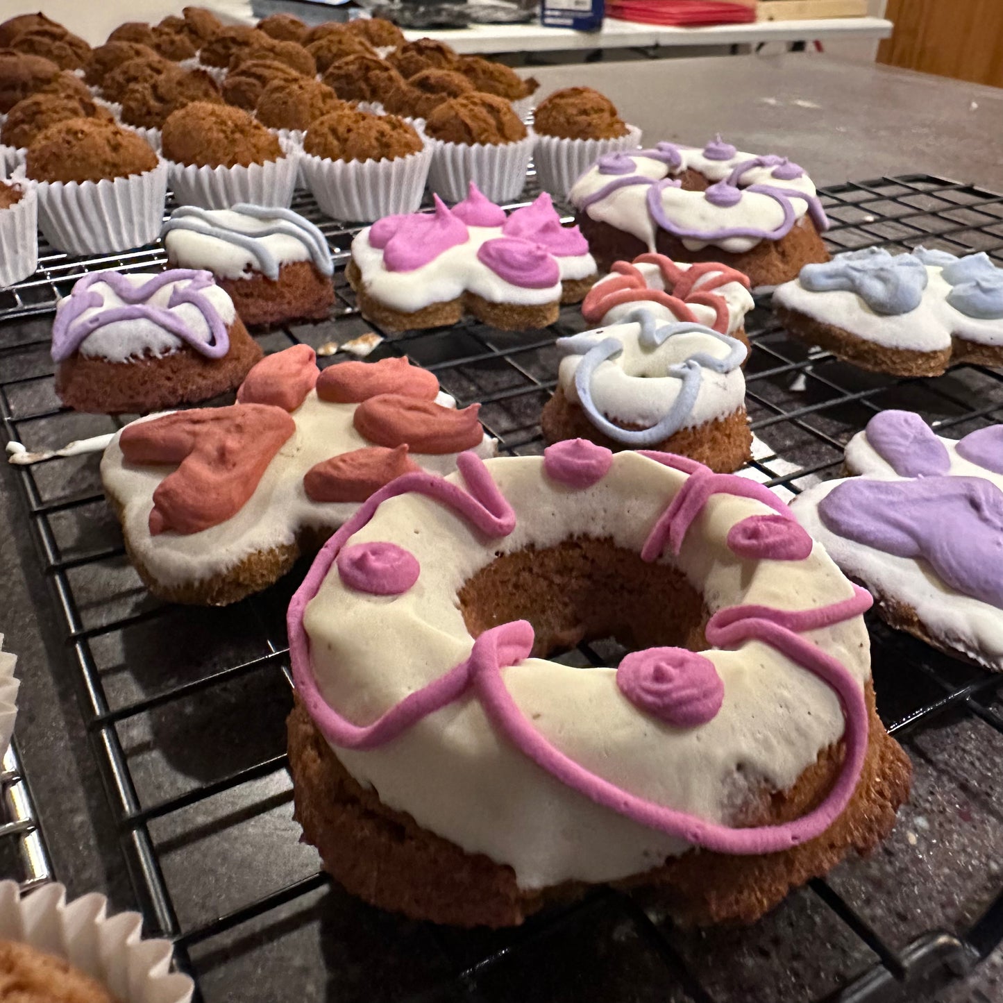 Large Doggy Donut Pack
