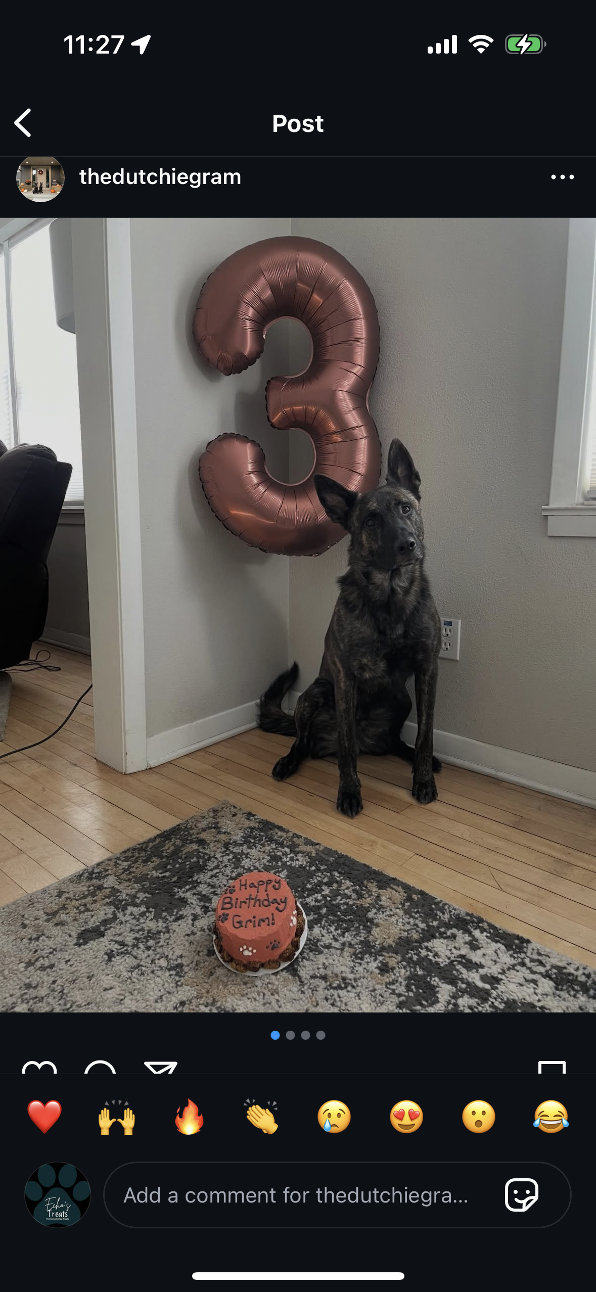 Echo's Customized Celebration Cakes