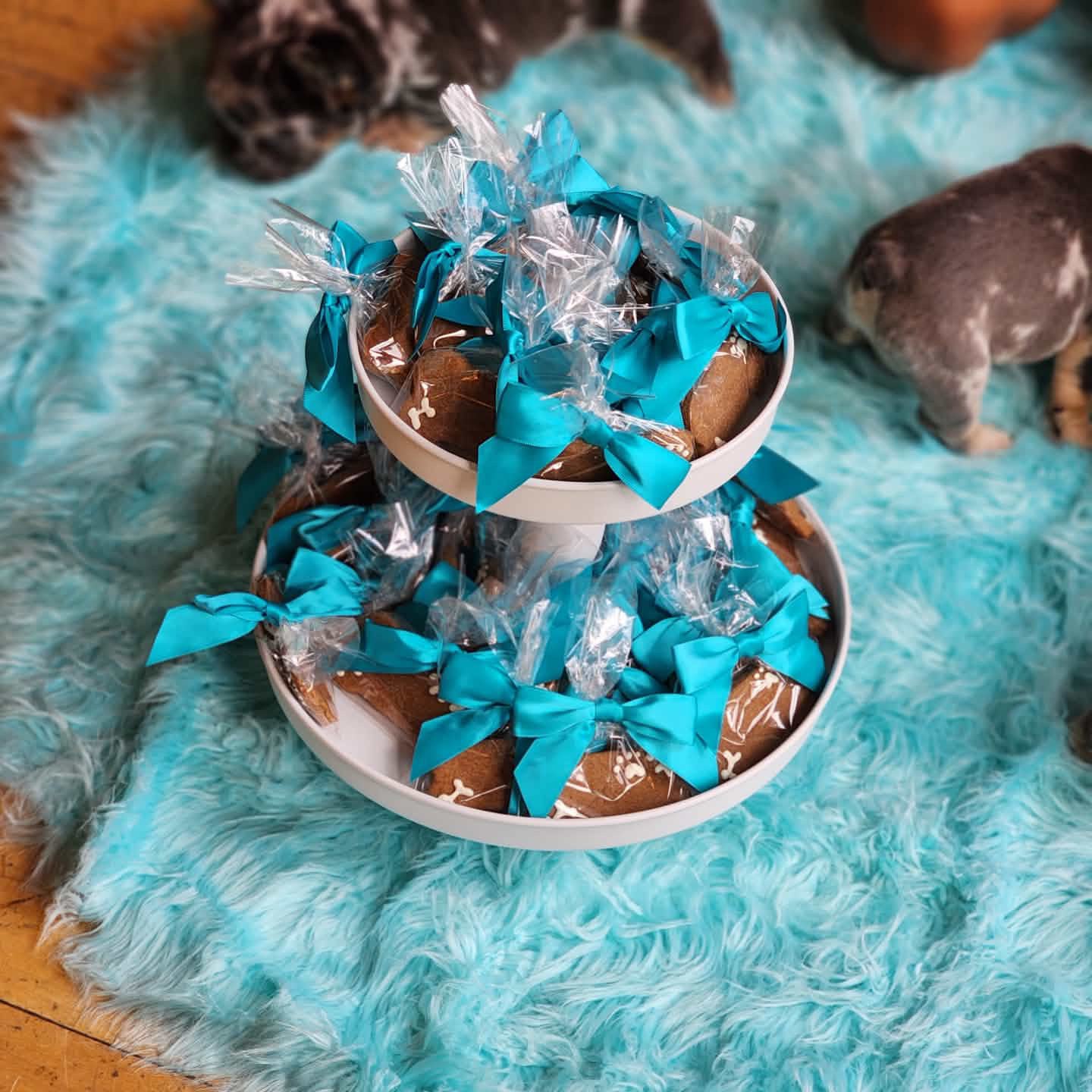 50 Paw-ty Favors