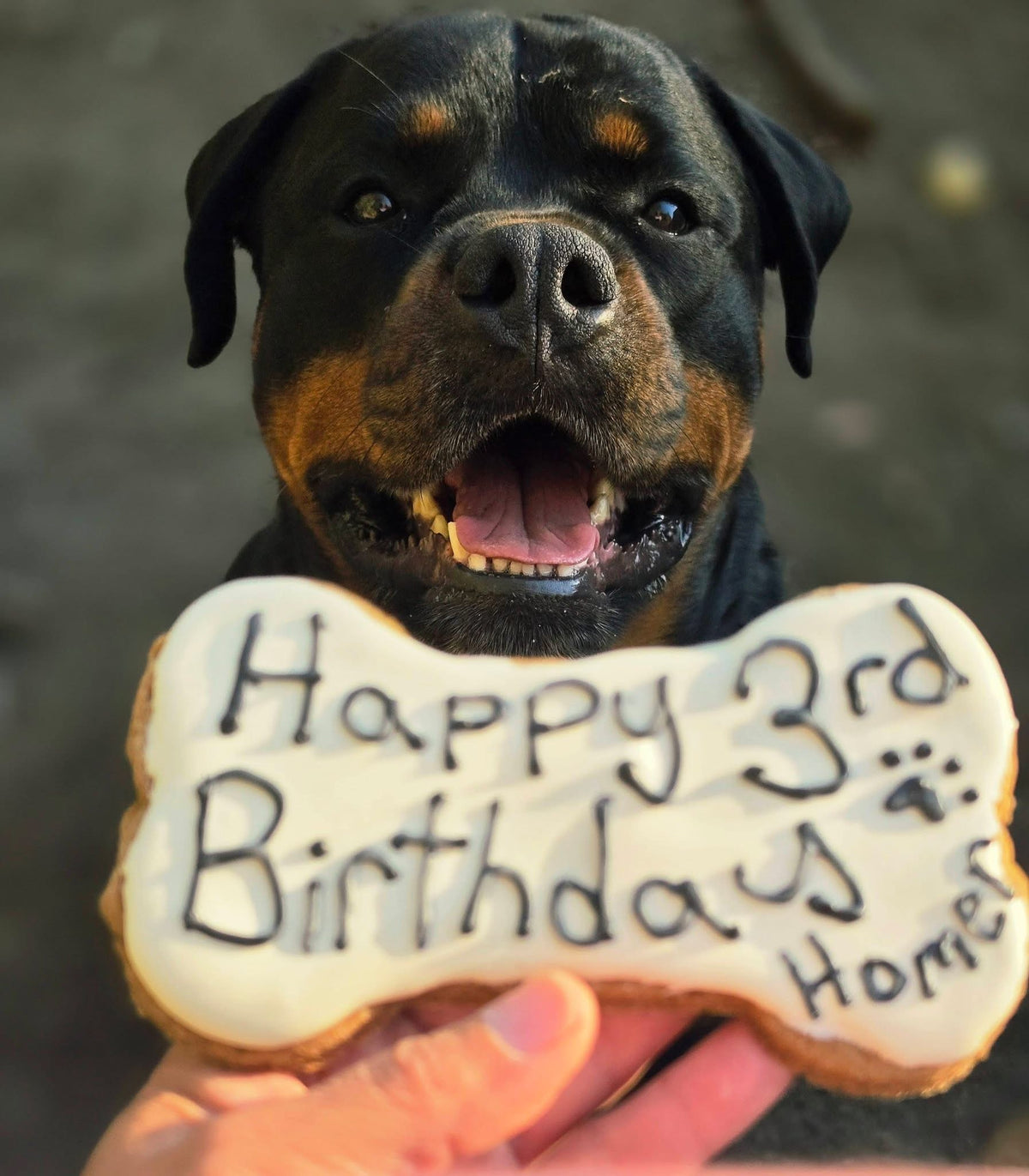 Echo's Customized Cookies