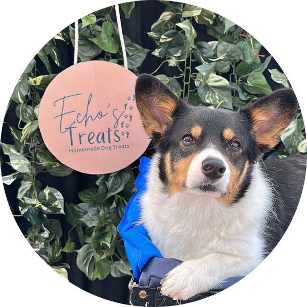 Echo's Treats