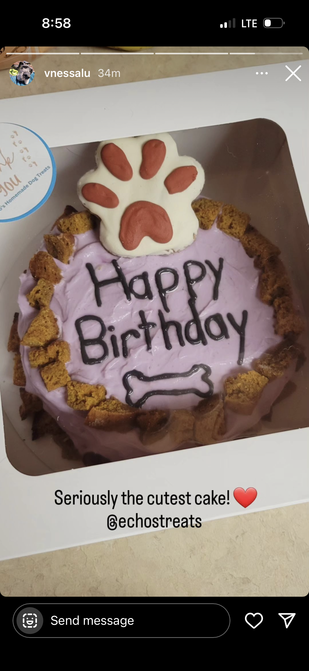 Echo's Treats Celebration Cakes