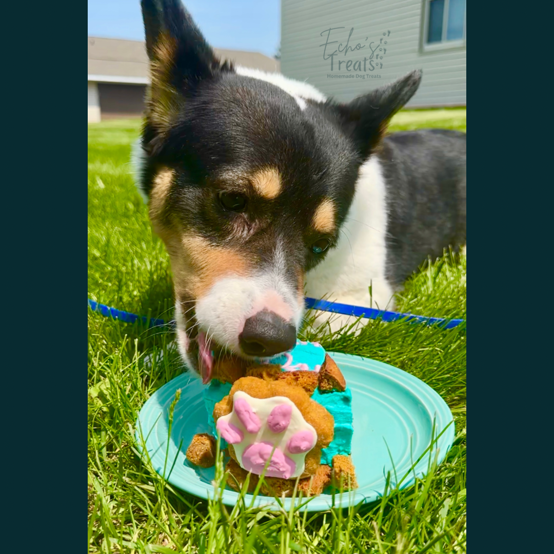Echo's Treats Celebration Cakes