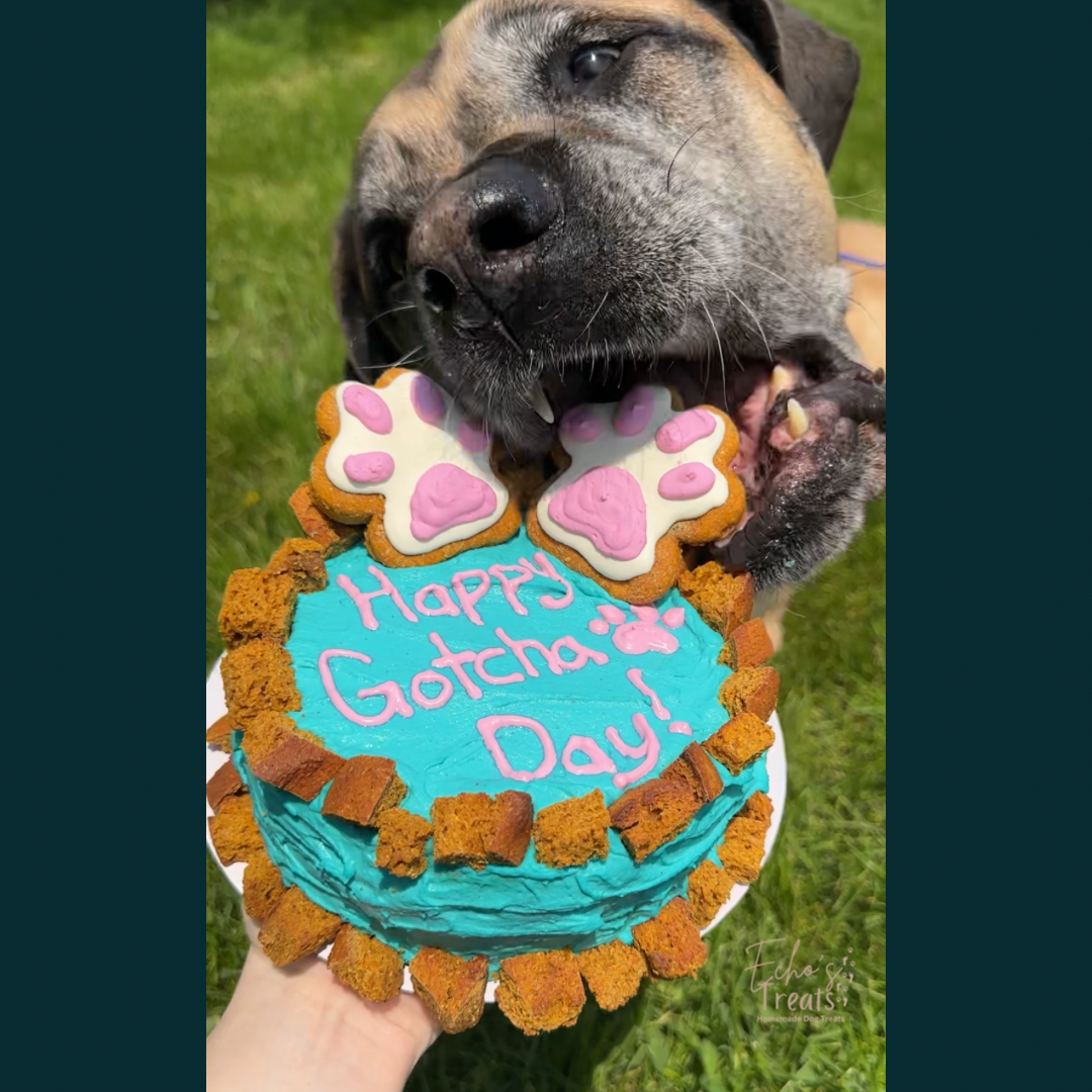 Echo's Treats Celebration Cakes