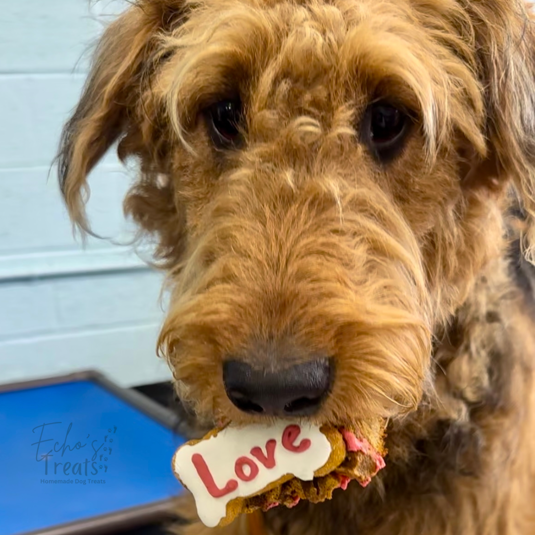Echo's Treats Celebration Cakes