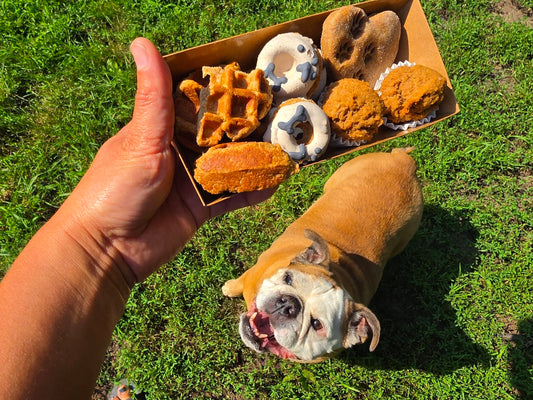 Paw-cuterie board